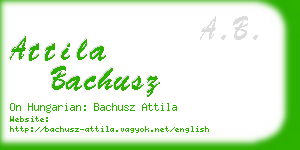 attila bachusz business card